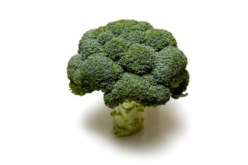 Broccoli on a white stduio background.