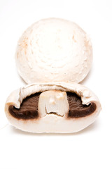 Mushrooms isolated on a white studio background