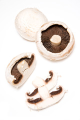 Fototapeta na wymiar Mushroom isolated on a white studio background