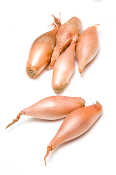 Echalion onions isolated on a white background.
