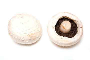 Mushrooms isolated on a white studio background.