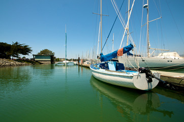 Obraz premium Berkeley Marina