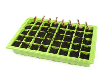 A green seed trays on a white background