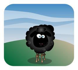 black sheep