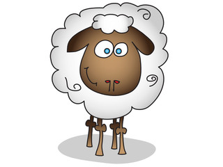 sheep isolated