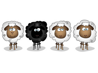 Obraz premium różne owce na białym tle