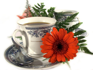 coffee in the morning