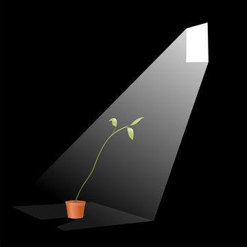 la vita