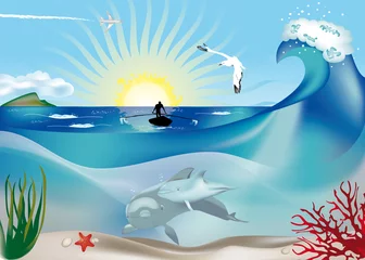 Wall murals Aircraft, balloon delfini con pescatore