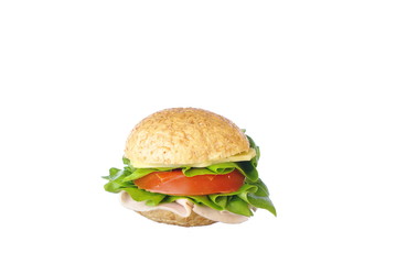 Delicious sandwich isolated on white