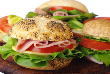 Fresh sandwich on white