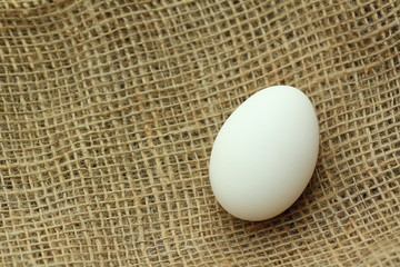 egg on brown fabric texture