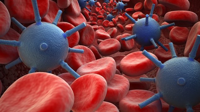 Blood Cells and virus