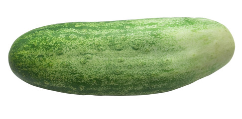 concombre
