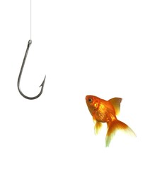 Fish and hook - 12670532
