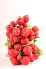 radishes