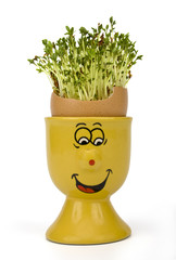 Easter decoration on white background. Clipping path incl.