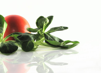 tomate und ackersalat