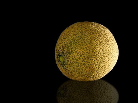 galiamelone