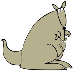Kangaroo
