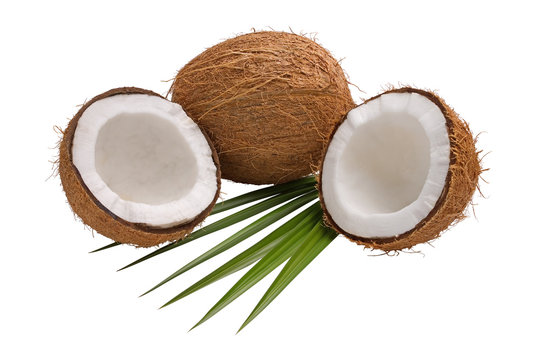 Coconuts 2