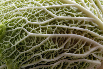 Texture verza
