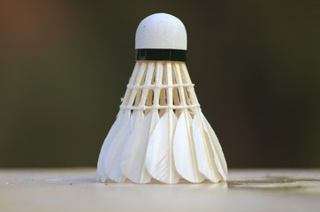 shuttlecock