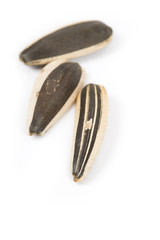 Sunflower Seed