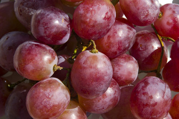 uvas rojas