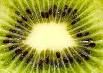 close-up kiwi background