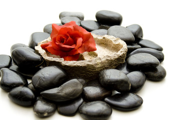 Rose auf Steine