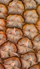 Fototapeta premium Pineapple