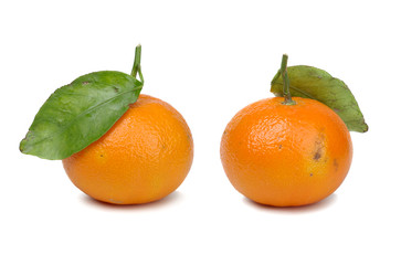 Tangerines