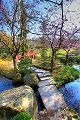 jardin japonais