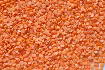 Background. Heap of a red split lentils