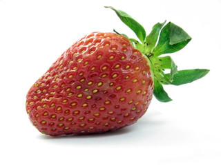 Fresh strawberry - Morangos - Fraises - obrazy, fototapety, plakaty
