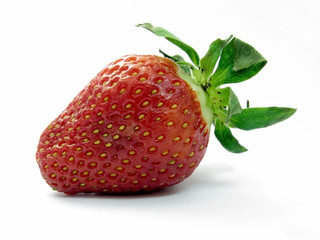 Fresh strawberry - Morangos - Fraises