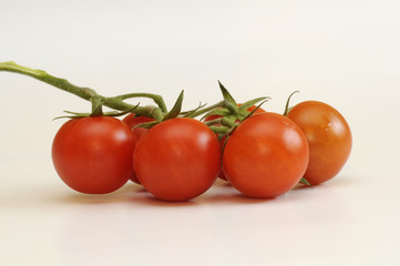 Tomaten