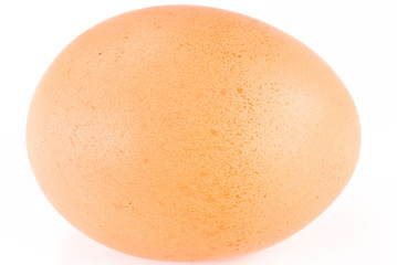 egg on white background