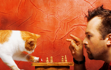 two chess players: cat and man