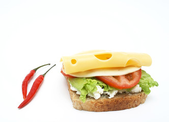 Sandwich isolated on white