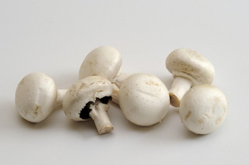 Champignons
