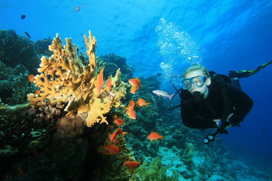 Scuba Diver watches Coral and Tropical Fish