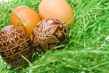 Easter egg on green grass