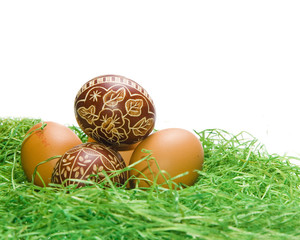 Easter egg on green grass