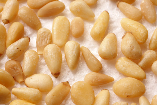pignons de pin