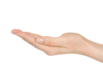 Beautiful female hands.