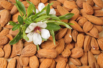 amandes
