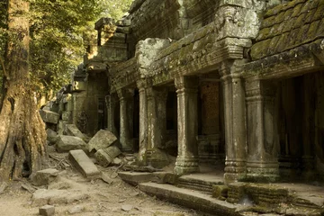 Garden poster Monument Angkor Wat