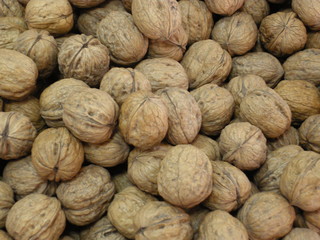 Walnut